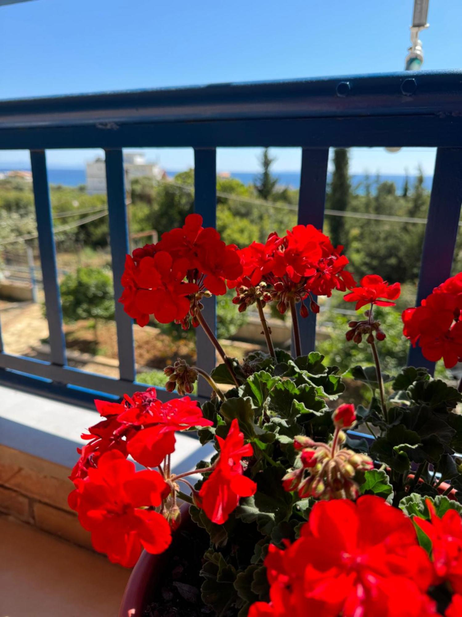 Guesthouse Rondo Himare Exterior photo